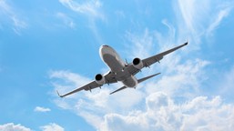 gigantyczna linia upadła? ceo odpowiada: „to fake news”. wyjaśniamy