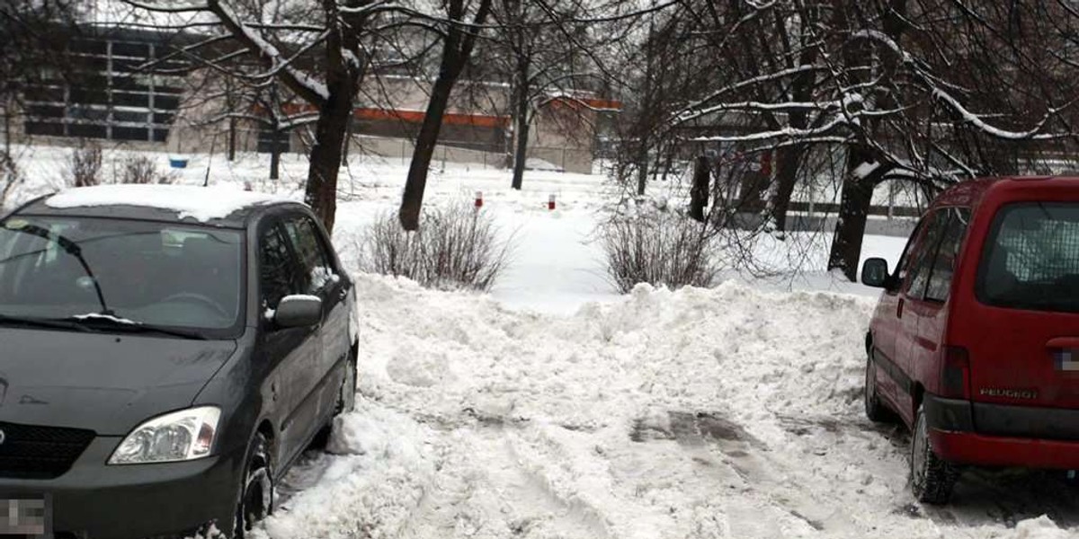 Wojna o odśnieżone miejsce. Mocne!