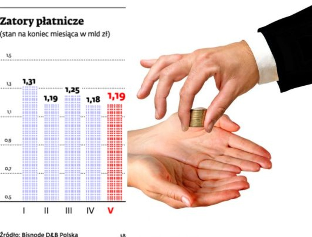 Zatory płatnicze