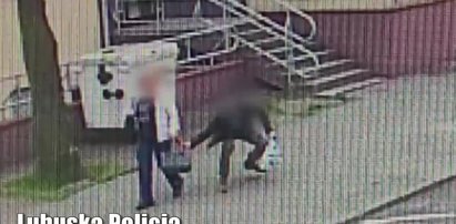 Bestialski atak na kobietę w centrum Zielonej Góry. Nagranie przeraża [WIDEO]