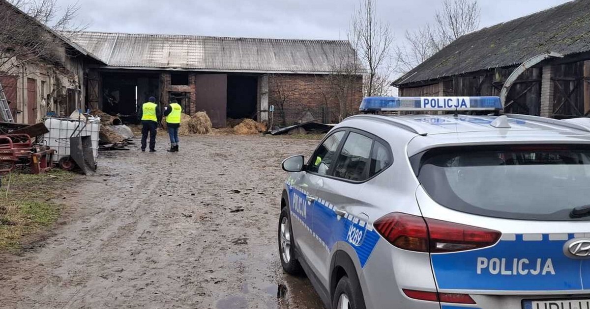 Pożar wielkiej obory we wsi Iwowe w mazowieckim. W ogniu zginęły 42 krowy