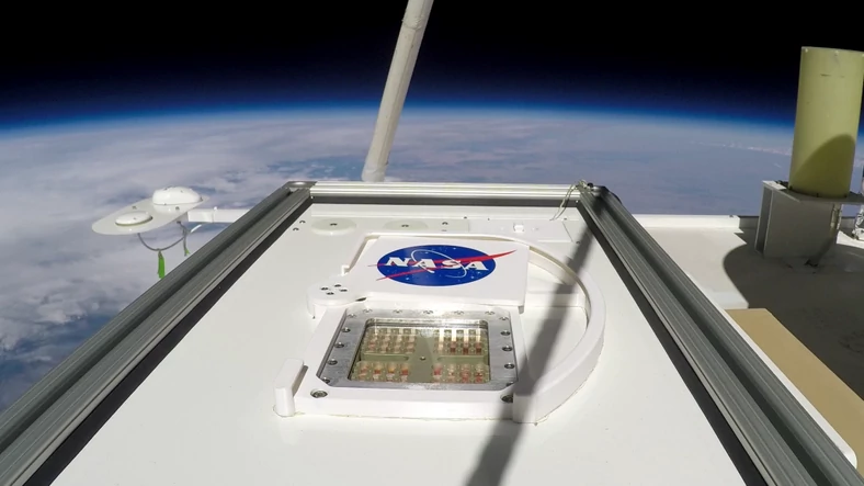 MARSBOx - pojemnik z organizmami, który NASA umieściła w stratosferze