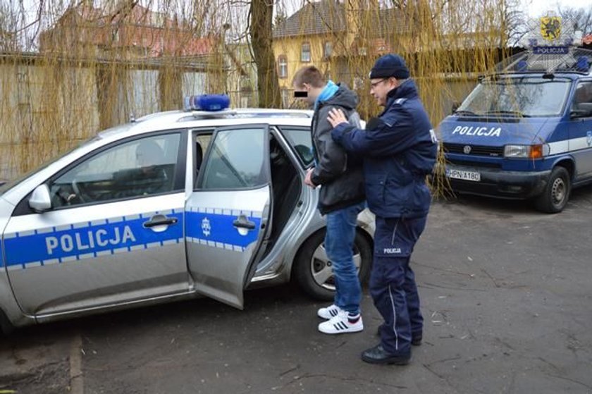 policjanci zatrzymują dilera