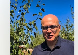 Vučević