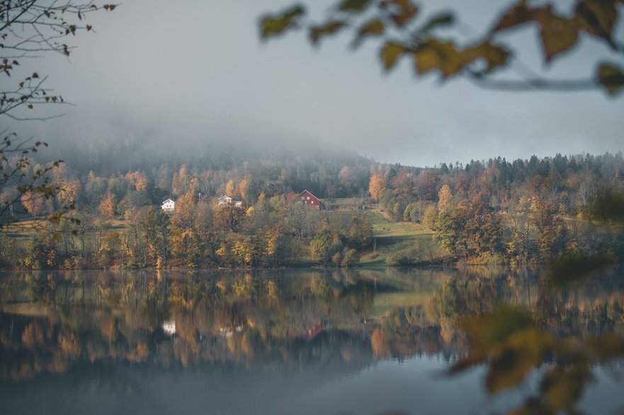 kieruneknorwegia.pl