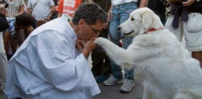 Animalpastor pobłogosławi krakowskie bezdomniaki