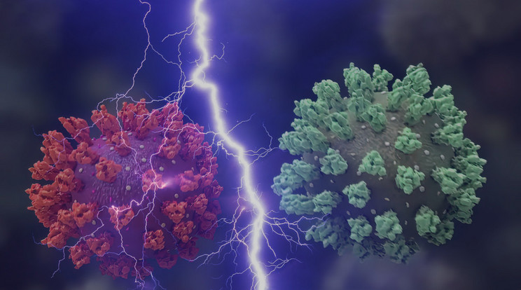 A vírusok nem bírják az elektromosan töltött tereket, és többnyire nem élik túl, ha találkoznakl velük. A kórházi fertőzések megállításának új módszere erre a felismerésre alapul. / Fotó: NorthFoto/Pixabay/Blikk