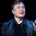 Elon Musk: kupuję Manchester United