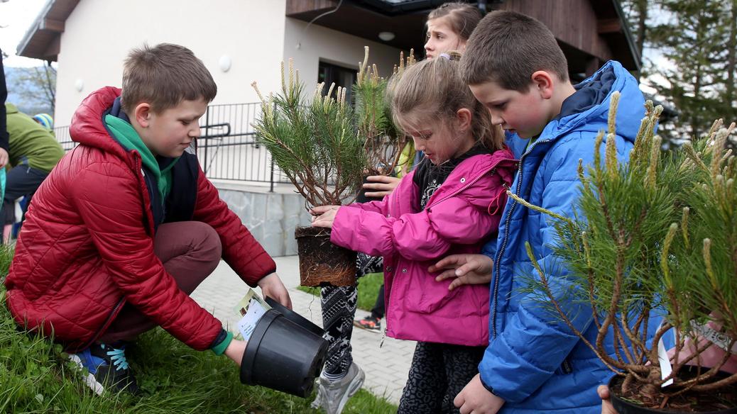 dzieci sadzą drzewa