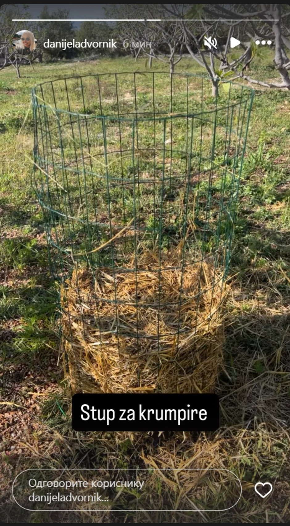 Danijela Dvornik podelila sliku iz dvorišta