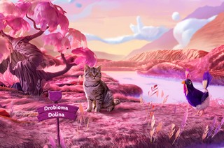 9 na 10 opiekunów kotów w Polsce uważa, że ich kot ma unikalną osobowość – sprawdź, co czyni pupila szczęśliwym