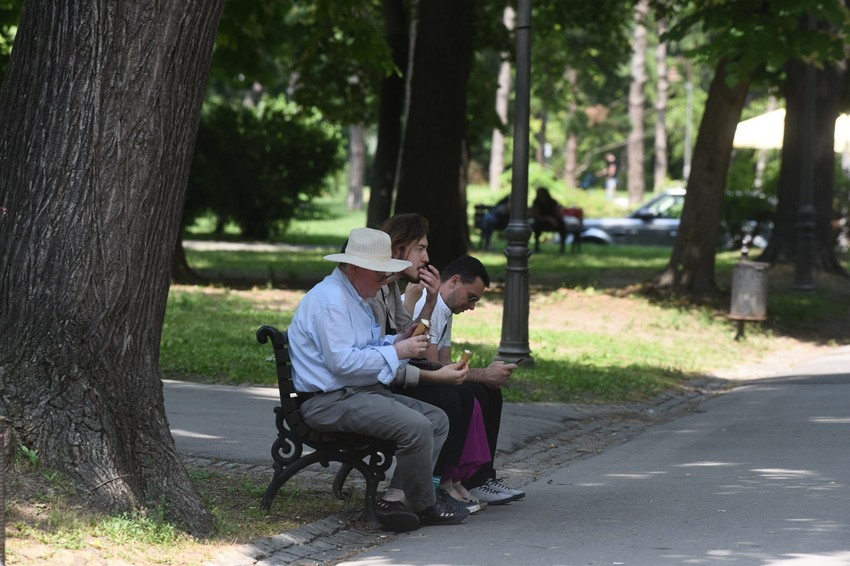 Tokom sparine treba izbegavati bujnu vegetaciju