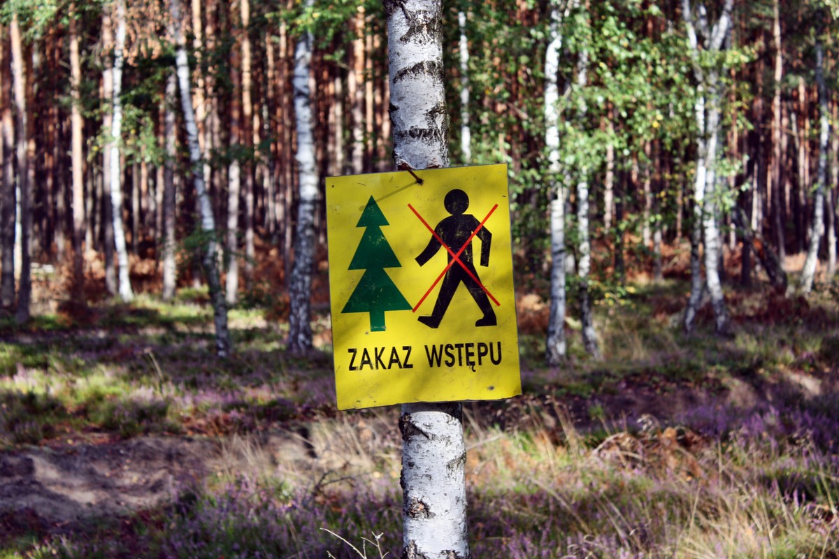 Zakaz wstępu do lasów w majówkę? Niepokojące słowa wiceszefa MSWiA. "Może być taka sytuacja"