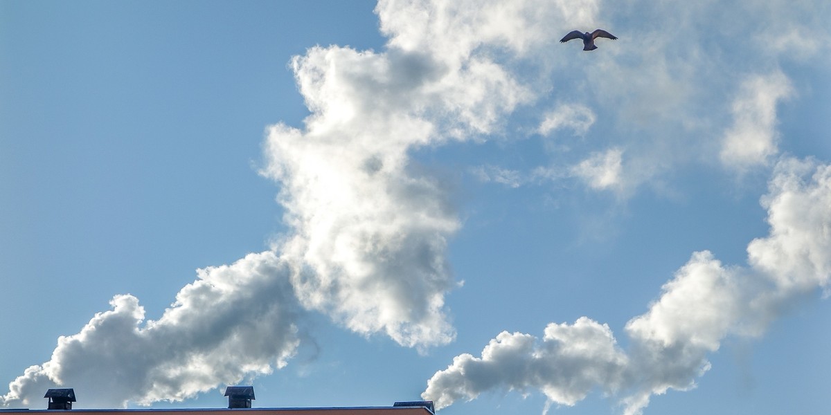 Węgiel w Unii Europejskiej powoli znika z energetyki, a wraz z nim emisje CO2. Na świecie jednak takie uniezależnienie się i rezygnacja z tego surowca nie jest już takie proste - pisze czwartkowa "Gazeta Wyborcza". 