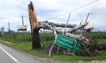 Tragiczna śmierć harcerek w czasie nawałnicy. Są pierwsze zarzuty