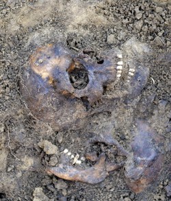 W okolicach Przemyśla odkryto zbiorowe mogiły włoskich i sowieckich jeńców