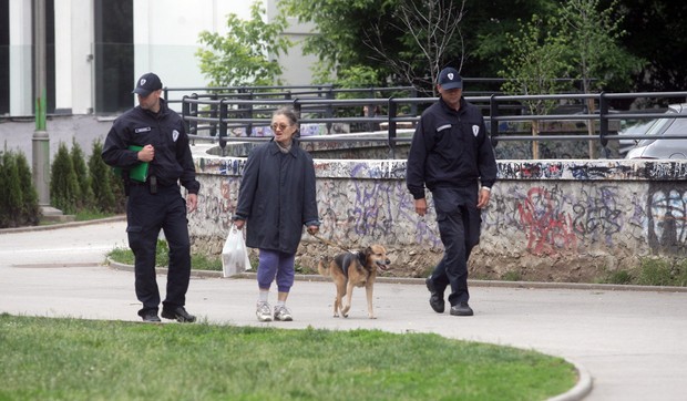 345489_tasmajdan-psi27052013foto-a-stankovic01