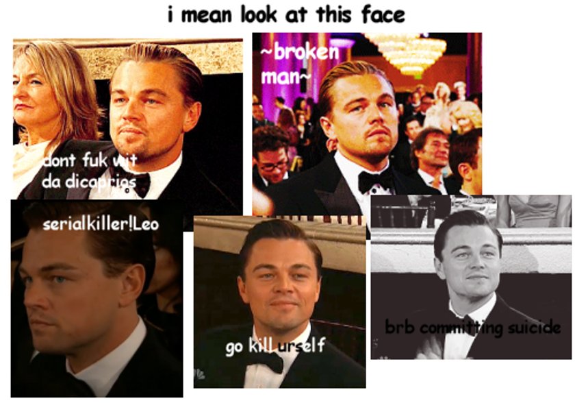 Leonardo DiCaprio memy