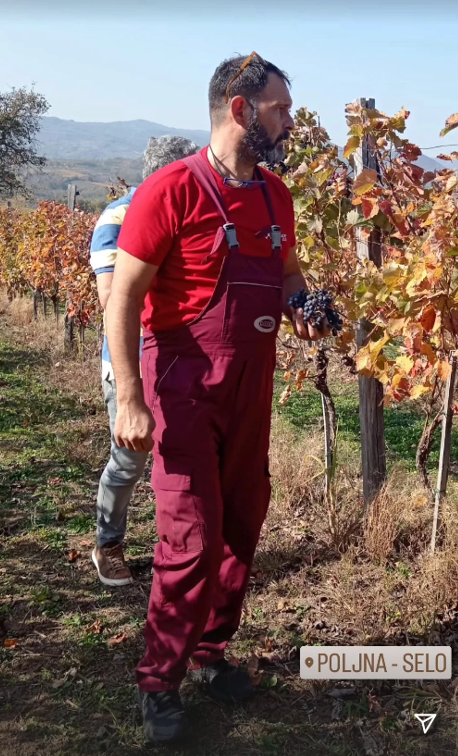 Kubura objavio fotografiju iz vinograda