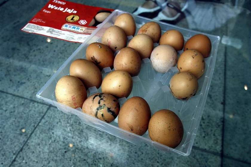 Te jaja są spleśniałe!