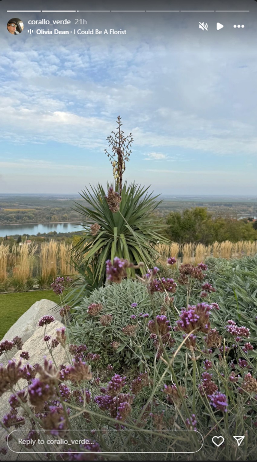 Dvorište Branke Nevistić