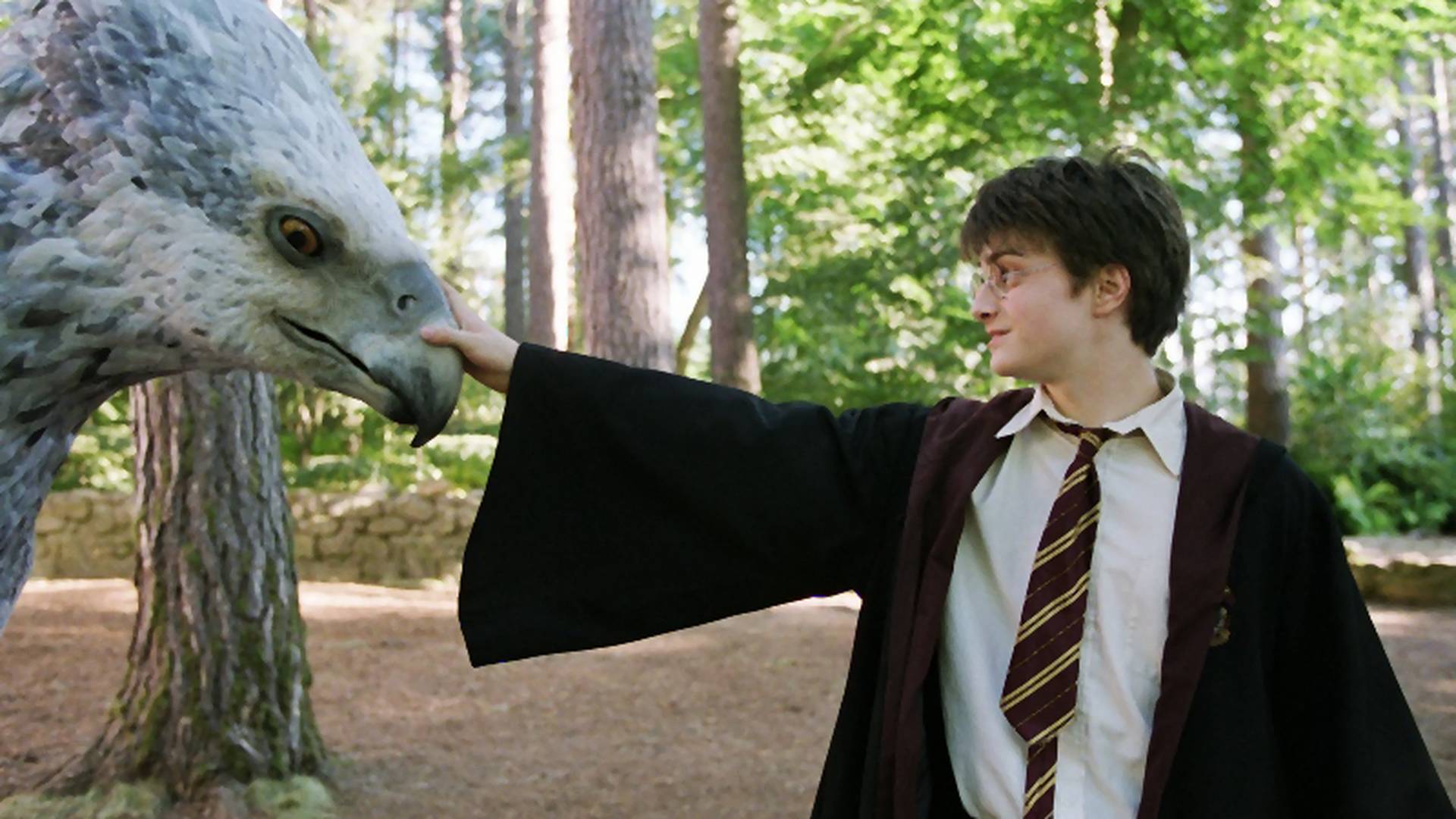 Így köszöntötték születésnapján Harry Pottert a legnagyobb sztárok