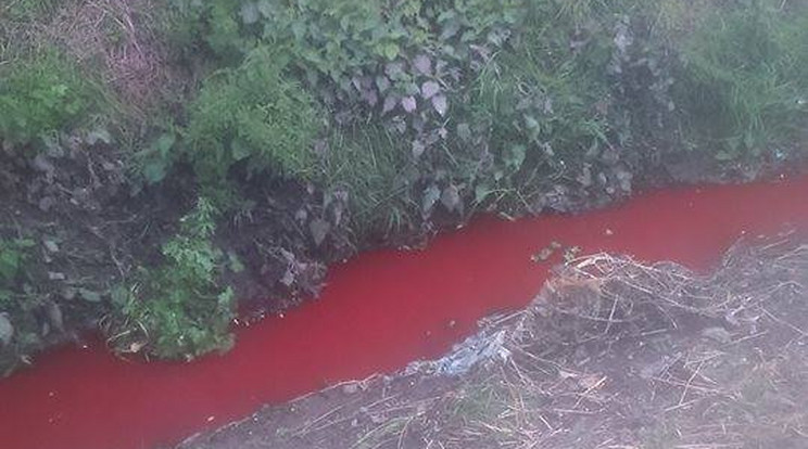 Vérvörös lett a patak / Fotó: Facebook, Pápua City