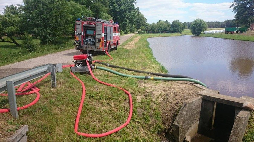 Pożar w Ostrowie Kaliskim