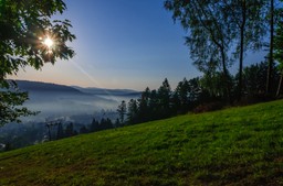 Gryfskand rezygnuje. Nie będzie fabryki węgla drzewnego w Ustrzykach Dolnych
