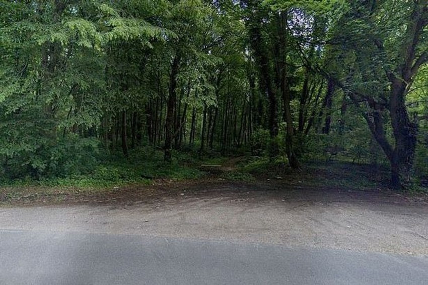 Šuma Rec je udaljena oko 90 kilometara od Pariza