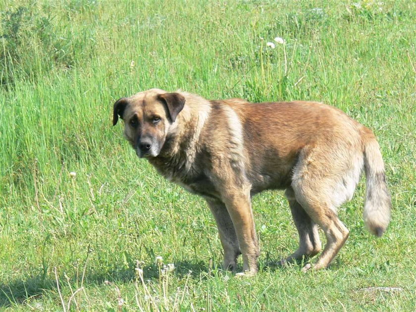 Pan wyrzucił mnie przy torach