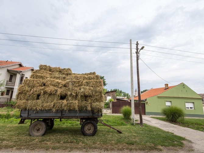 Mesečni troškovi Srbina koji živi na selu škoriali su Srbiju, svi mu savetuju kako da uštedi
