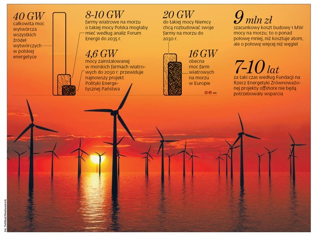 Rekordowy projekt w historii polskiej energetyki. Plan wiatraków na Bałtyku rozkręca się na dobre