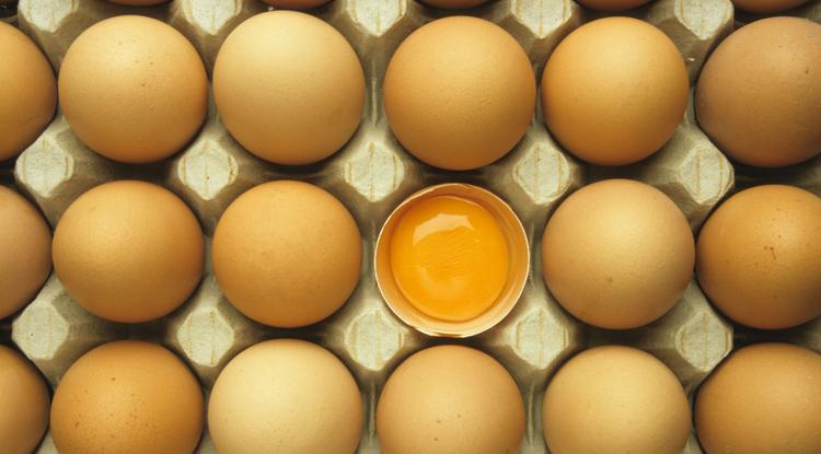 Így tárold a tojásokat Fotó: Northfoto