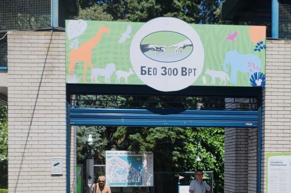 BEO ZOO VRT SLAVI 90. ROĐENDAN! U nedelju slobodan ulaz za najmlađe, evo šta vas sve čeka