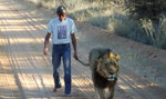 Niesamowita przyjaźń lwa z człowiekiem