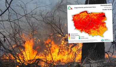 Przeraźliwa czerwień na mapach Polski. Zagrożenie pożarami jest ekstremalne