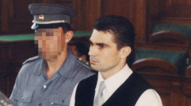 A Viszkis 1993-tól elkapásáig, 1999-ig csaknem 30  pénzintézetet rabolt ki –  17 év börtönt kapott