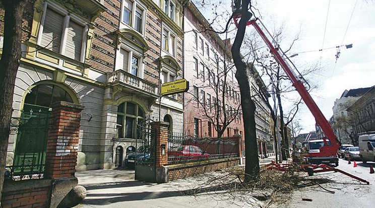 A 77 éves férfi sírva hívta fel családját, hogy hazaküldik a kórházból /Fotó: Oroszi Beáta