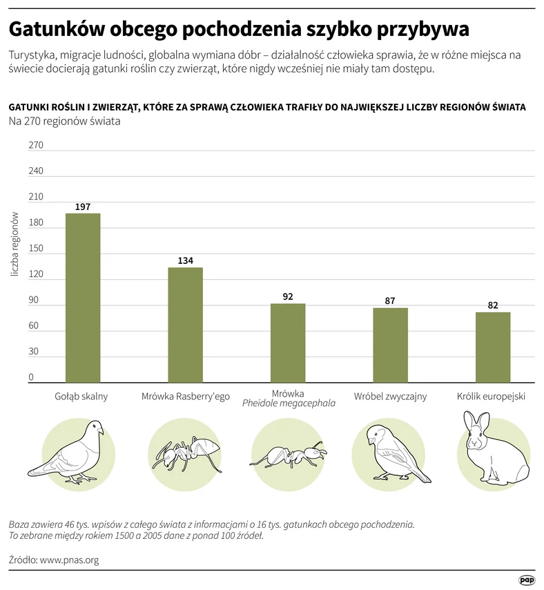 Gatunki inwazyjne na świecie