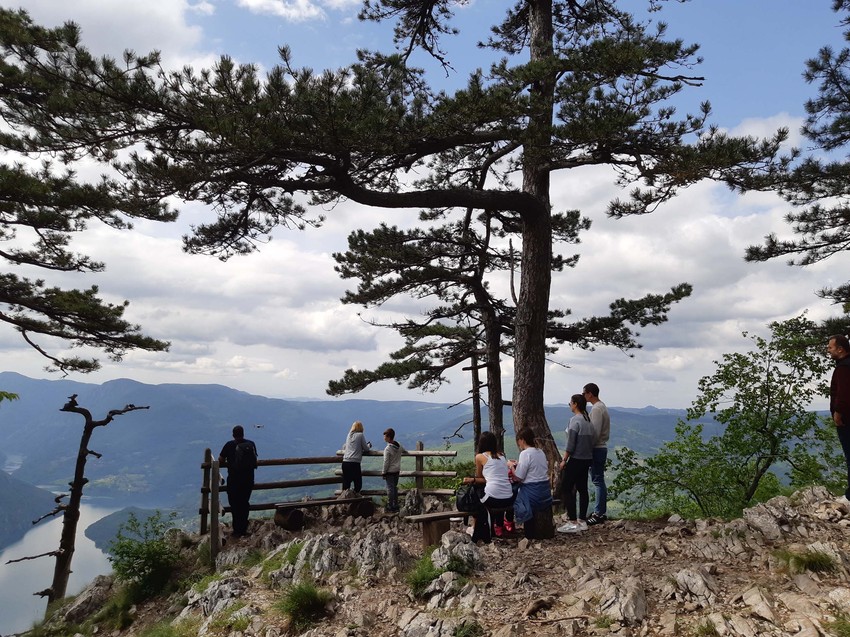 Vidikovac Banjska stena na Tari