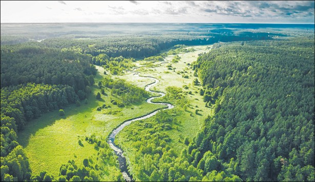 W lasach społecznych gospodarka drewnem ma być ograniczona ze względu na walory kulturowe czy rekreacyjne, niekoniecznie z uwagi na wartość przyrodniczą