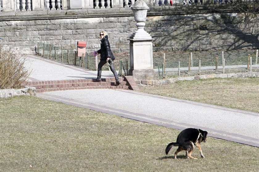 Torbicka sprząta po psie. Foto