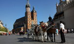 Górale stają w obronie krakowskich dorożkarzy