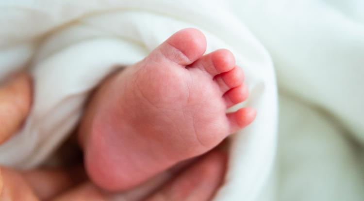 Itt az újabb sztárbaba, megszületett Szologhjan Edgar kislánya Fotó: Getty Images