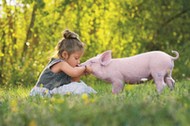 Wegetarian wciąż przybywa, także w Polse