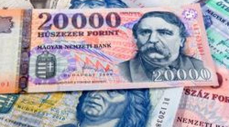 8,7 millió forint vagyona van egy felnőtt magyarnak