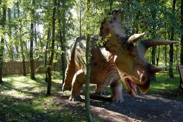 Galeria Polska - Rogowo - Park Dinozaurów, obrazek 44