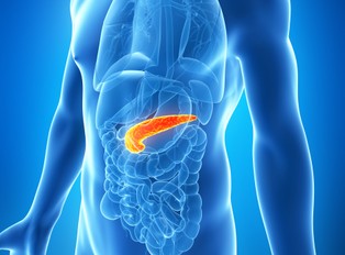 Polak wydrukował bioniczną trzustkę. W przyszłym roku zostanie wszczepiona pierwszemu pacjentowi