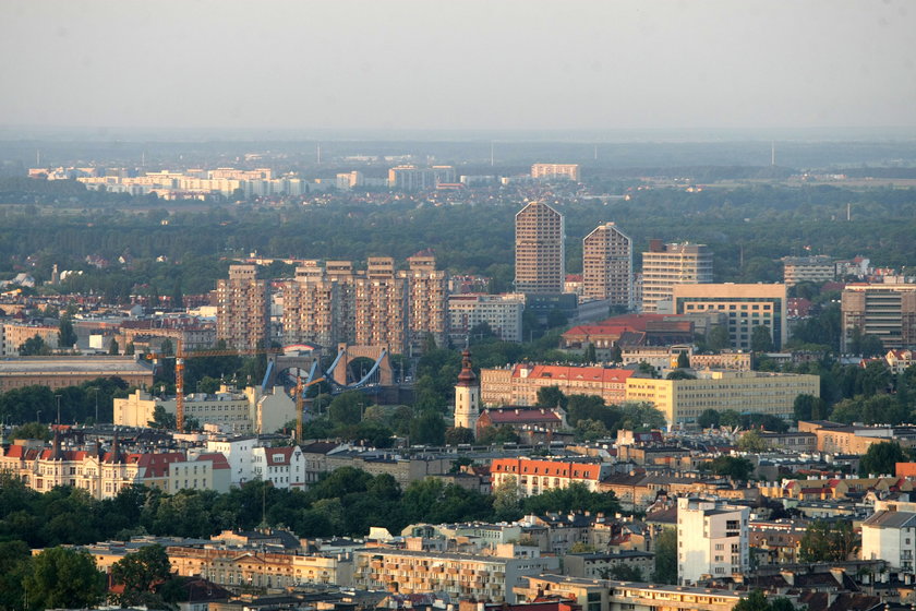 Widok ze Sky Tower